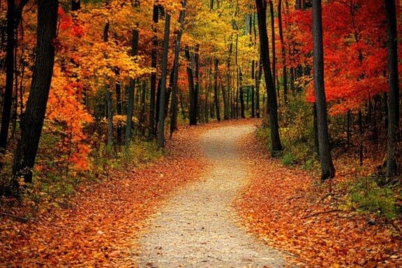 Fall Hiking Trails Near Omaha for Nature Lovers