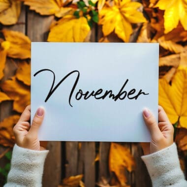 November Events Omaha 2024